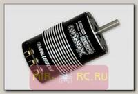 Бесколлекторный сенсорный 4-х полюсный мотор Xerun XR3400KV/3656 для Short Course и монстров 1:10