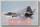 Радиоуправляемый самолет FreeWing F22 PNP 4S