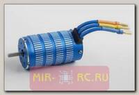 Бесколлекторный сенсорный мотор Xerun SD-4274-1800Kv для Short Course и монстров масштаба 1:8, синий