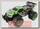 Радиоуправляемая модель Трагги Winyea Truck 2WD 1:12 RTR