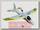 Радиоуправляемая модель электро самолета Easy-Sky Sport Plane 2.4GHz RTF (белый с желтым)