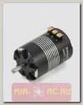 Бесколлекторный сенсорный мотор Xerun 3652SD D3.175 G2 3100KV для монстров, багги и SCT 1:10