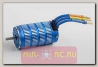Бесколлекторный сенсорный мотор Xerun SD-4274-2200Kv для Short Course и монстров масштаба 1:8, синий