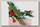 Пластиковый конструктор COBI Самолет Sopwith F.1 Camel
